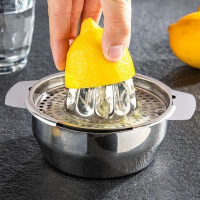 Presse citron Manuel Inox