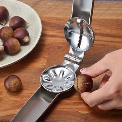 Ouvre Chataigne Inox